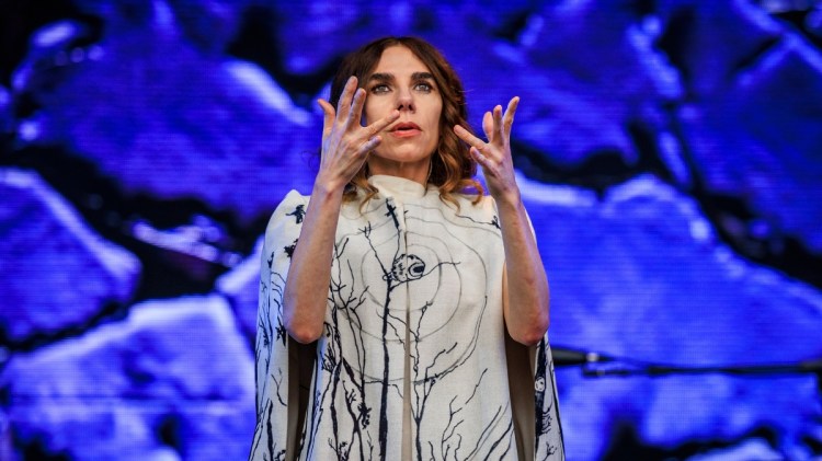 The Meaning Behind “Voyager” by PJ Harvey and Its Tie to NASA