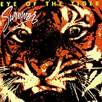 Things That Bring Back Memories - Eye of the Tiger