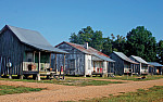 Silas McGee's Farm, Greenwood, Mississippi
