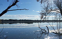 Minnesota
