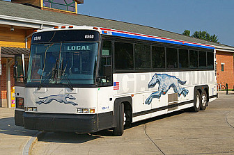 Greyhound Bus<br>Photo: <a href="https://commons.wikimedia.org/wiki/File:Greyhound-Bus.jpg">N-Lange</a>, <a href="https://creativecommons.org/licenses/by-sa/3.0/de/deed.en">CC BY-SA 3.0 DE</a>, via Wikimedia Commons