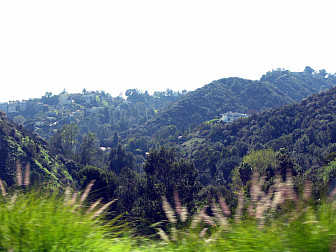 Laurel Canyon<br>Photo: <a href="https://www.flickr.com/photos/bcgrote/4447743834/" target="_blank">bcgrote</a>, via Flickr, CC 2.0