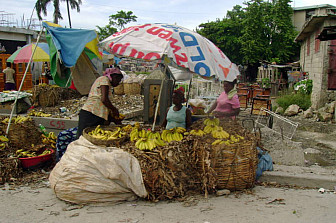 Port-au-Prince in Haiti<br>Photo: <a href="https://www.flickr.com/photos/diegotirira/17030943959/" target="_blank">Diego Tirira</a>, via Flickr, CC 2.0