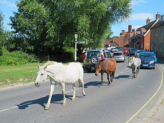 Horses in the road in the village of Beaulieu<br>Photo: <a href="https://www.geograph.org.uk/photo/6946106" target="_blank">Malc McDonald</a>, Geograph Project, CC 2.0