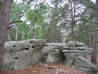 Boulders in the Forest of Fontainebleau<br>Photo: Urban