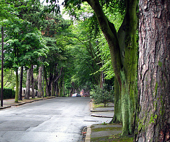 Cyprus Avenue c 2008<br>Photo: Rossographer, via <a href="https://www.geograph.ie/photo/877885" target="_blank">The Geograph Project</a>, CC 2.0