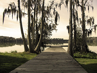 Bivens Arm, Gainesville <br>Photo: <a href="https://www.laurelhousden.com/" target="_blank">Laurel Housden Photography</a>