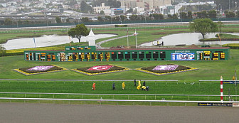 Golden Gate Fields<br>Photo: <a href="https://commons.wikimedia.org/wiki/File:Golden_Gate_Fields_infield.jpg">NapoliRoma</a>, <a href="https://creativecommons.org/licenses/by-sa/3.0">CC BY-SA 3.0</a>, via Wikimedia Commons