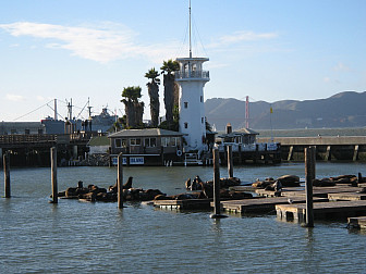 San Francisco, California<br>Photo: Bette Kestin