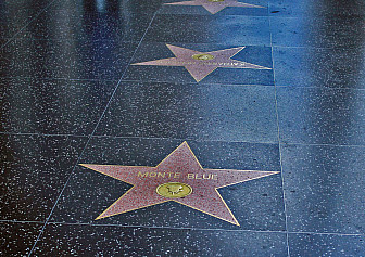 Stars on the Hollywood Walk of Fame