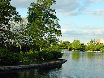 Lake Watauga in Centennial Park, Nashville<br>Photo: Ryan Kildari
