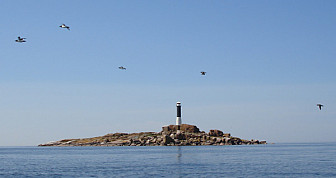 Bondens Island lighthouse, Västerbottens län, Sweden<br>Photo: Skogsfrun, Wiki Commons