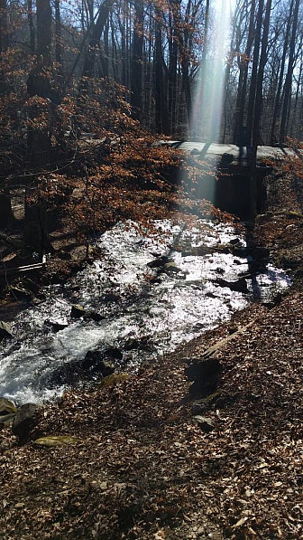 Amicolola Falls trail base<br>Photo: TL Gray
