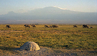 Mount Kilimanjaro in the distance<br>Photo: Dan Lundberg, <a href="https://www.flickr.com/photos/9508280@N07/822800595/" target="_blank">via Flickr</a>, CC2.0