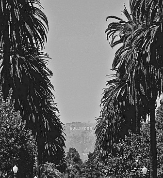 Windsor Blvd. in Hollywood<br>Photo: <a href="https://commons.wikimedia.org/wiki/File:Windsor_Boulevard,_Los_Angeles,_California,_USA.jpg">David Hanjani</a>, <a href="https://creativecommons.org/licenses/by-sa/4.0">CC BY-SA 4.0</a>, via Wikimedia Commons